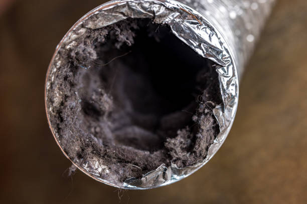 Reliable Banks Springs, LA Airduct Cleaning Solutions